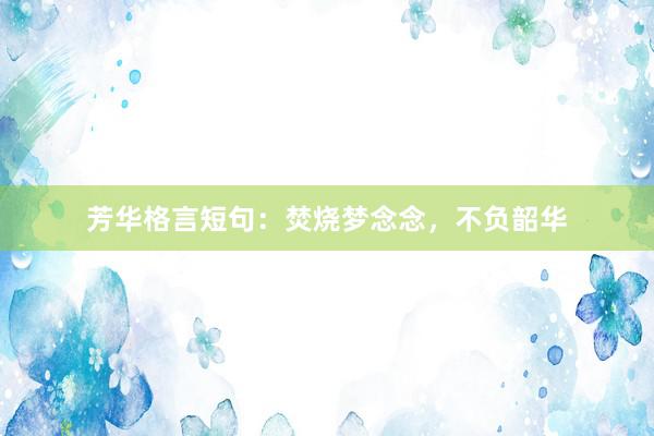 芳华格言短句：焚烧梦念念，不负韶华